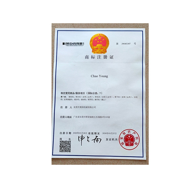 公司證書 (4)